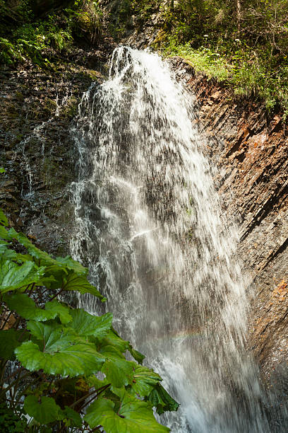 istock Waterfalls in the Carpathian Mountains 473738500