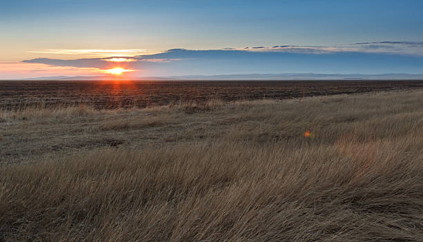восход солнца в steppes.   голубого неба, желтый трава. - savannah africa steppe namibia стоковые фото и изображения