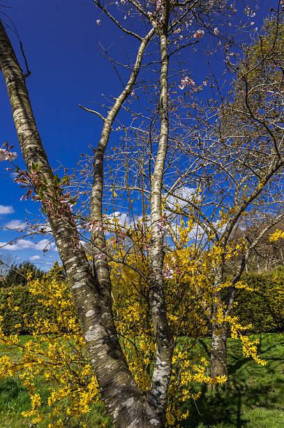 tenuta di campagna - vale of evesham foto e immagini stock