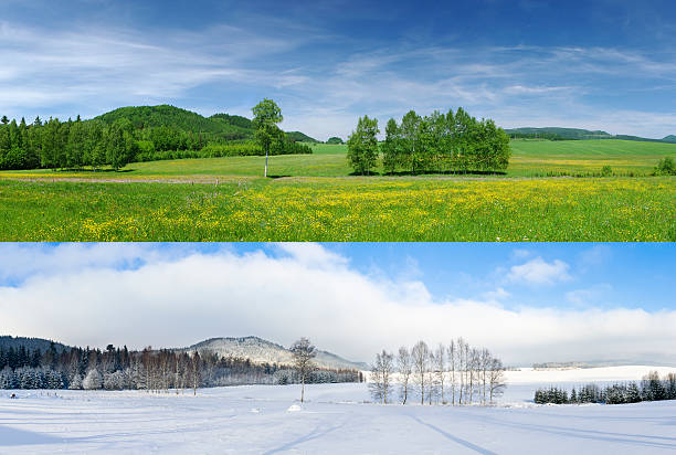 Winter and summer Comparison of 2 seasons - winter and summer image created 21st century multi colored arrangement outdoors stock pictures, royalty-free photos & images