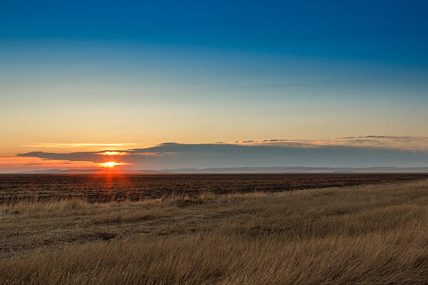 istock Sunrise in the steppes. Blue sky, yellow grass. 473752644