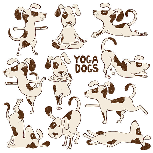 ilustraciones, imágenes clip art, dibujos animados e iconos de stock de funny perro iconos haciendo yoga posición. - stretching yoga zen like beauty