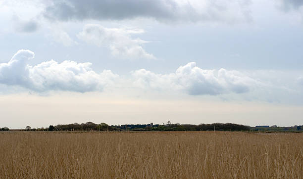 istock Iken and Snape marshes 473756378
