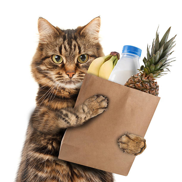 istock Cat carrying home his shopping in a brown bag 473769126