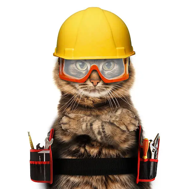 Photo of Cat with craftsman gear on white background