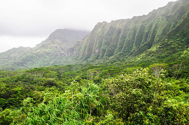 istock Misty Mountains of Oahu 473784582