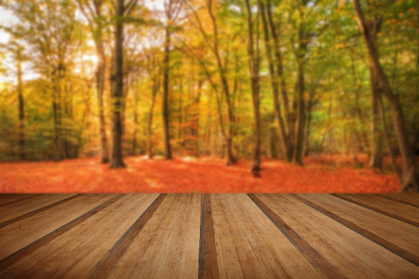 istock Vibrant Autumn Fall forest landscape image with wooden planks fl 473784642