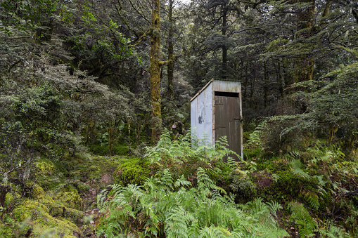 Outhouse in the middle of the forest, Kaimanawa Ranges, New Zealand.