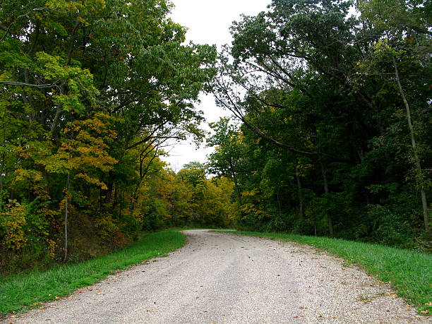 istock Winding Gravel Road into Forest of Trees 473785608