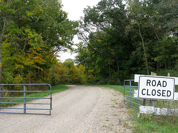 Gate Opens to a Private Road Lined with Trees stock photo