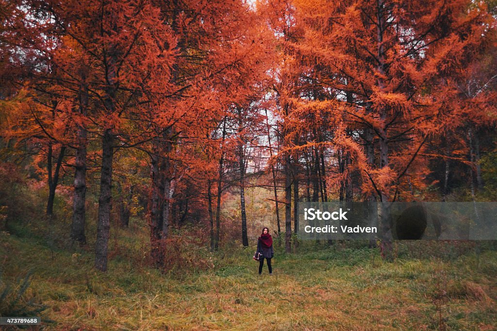 Young woman is standing in a beautiful wonderful forest. Young woman stands in a beautiful wonderful forest. Forest Stock Photo