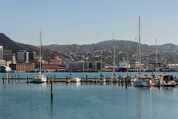 yachts moored in Wellington port yachts moored in Wellington port in New Zealand sailboat mast stock pictures, royalty-free photos & images