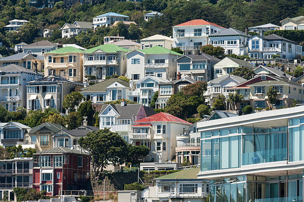 istock colorful houses in Wellington 473790236