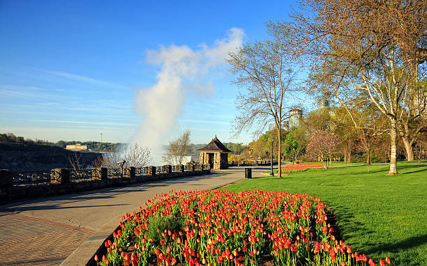 ナイアガラフォールズのチューリップガーデン - landscaped spring canada footpath ストックフォトと画像