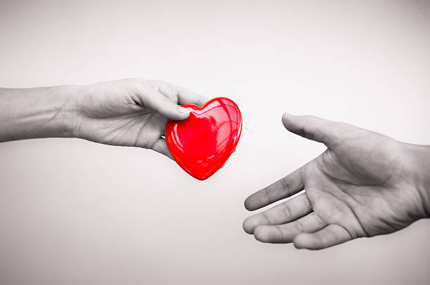 a doação - heart shape giving human hand gift imagens e fotografias de stock