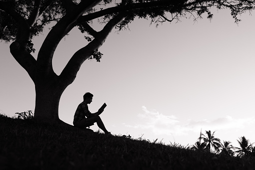 Silhouette of man reading book in the park.