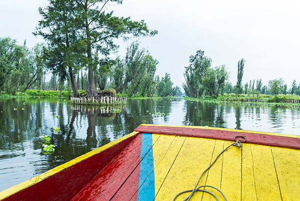 Xochimilco water canal scene in Mexico Colorful boat in the Xochimilco Canal in Mexico City trajinera stock pictures, royalty-free photos & images