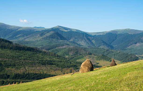 istock Landscape in the Ukrainian Carpathians 473794980