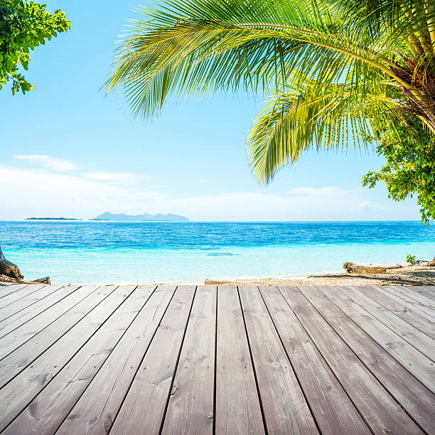 istock Wooden platform under coconut palm trees on beach 473796088