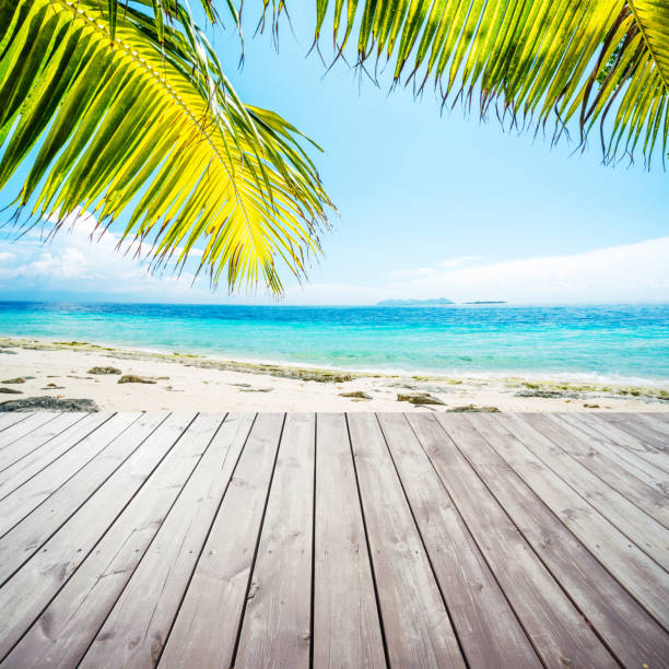 istock Wooden platform under coconut palm trees on beach 473796094