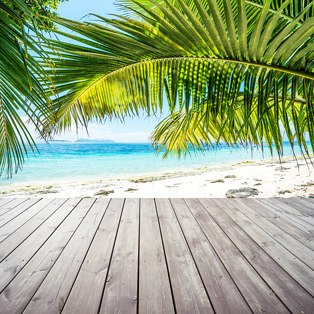 istock Wooden platform under coconut palm trees on beach 473796098