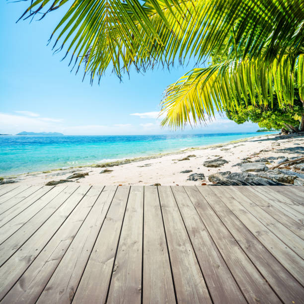 istock Wooden platform under coconut palm trees on beach 473796102