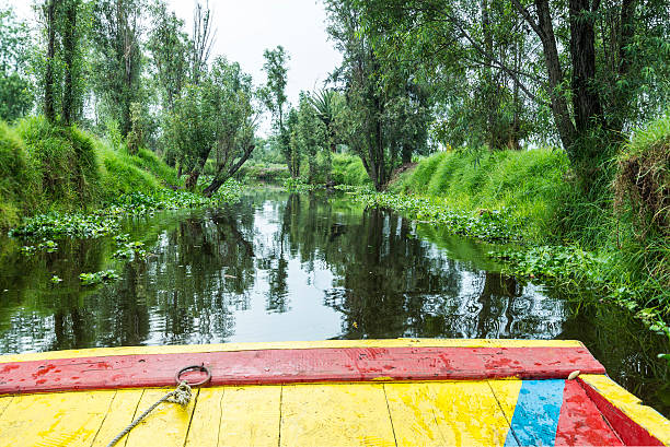 Xochimilco water canal scene in Mexico Colorful boat in the Xochimilco Canal in Mexico City trajinera stock pictures, royalty-free photos & images
