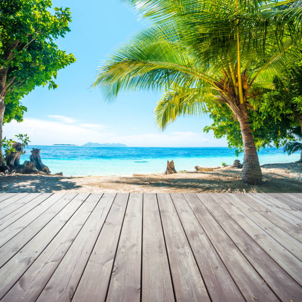 istock Wooden platform under coconut palm trees on beach 473796816