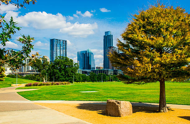 istock Pine Tree Austin Downtown Parks Modern Skyline Cityscape meadows 473797066