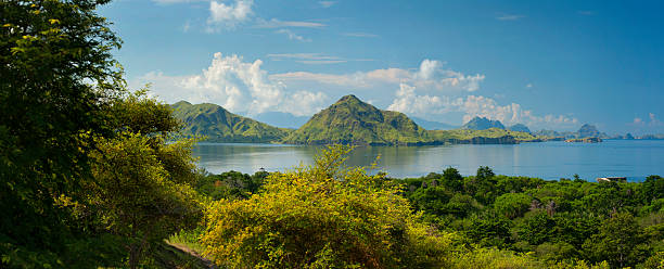 istock Komodo Island, Indonesia 473800358