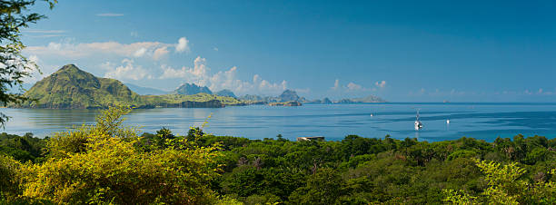 istock Komodo Island, Indonesia 473800370