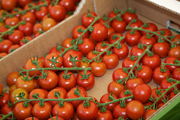 istock Tomatoes on display at Naschmarkt in Vienna 473807036