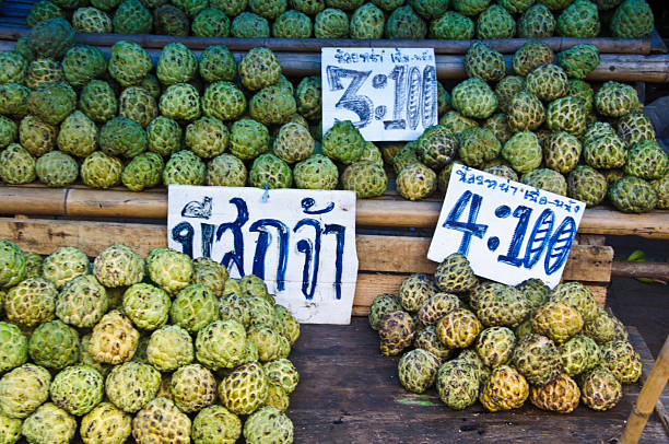 Custard apple for healthy tropical fruit Custard apple for healthy tropical fruit in Thai market noni fruit stock pictures, royalty-free photos & images