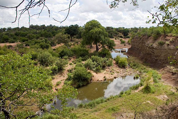 istock River in Kruger National Park, Africa. 473816306