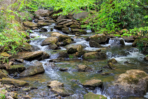 A whitewater stream flowing in the North Georgia (US) mountains.