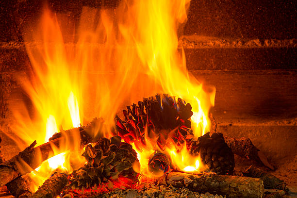 burning firewood in chimney with pine cones and fire