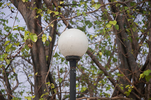 garden lamp on the background of tree