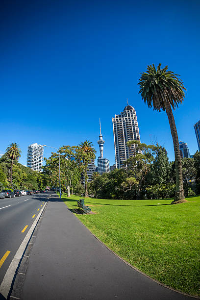 istock Auckland City 473827922