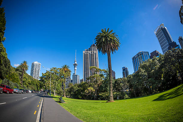 Auckland City