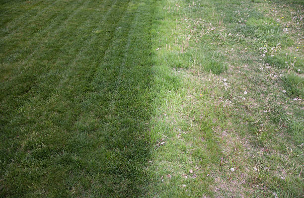 A human hand firmly holds a clump of fresh green grass, pulled from the earth, symbolizing garden care or harvesting. The focus on the action emphasizes the connection to nature and physical labor.