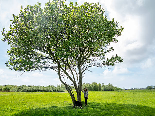 Mature smiling hispanic woman portrait tree dog and sky background