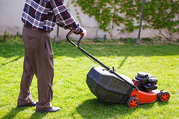 istock Pensioner mowing lawn at backyard 473831208