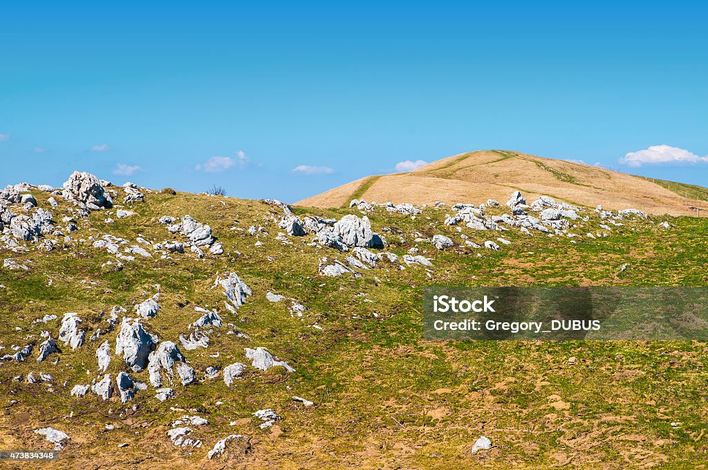 Rolling landscape hill mountain grass area Horizontal scenics landscape view, mountain of Alps chain in summer season by clear sky. Photography taken on Grand Colombier mountain (near Culoz city), in Bugey, in Ain, Rhone-alpes region in France (Europe). Shot with some rock, stone in wild green grass plant in spring / summer season. Rolling landscape photography, grass meadow hill mountain top, scenics landscape view from top mountain peak of Alps chain. 2015 Stock Photo