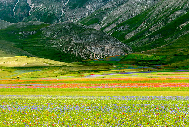 istock Piano Grande di Castelluccio (Italy) 473846596