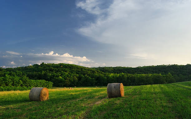 istock Hay Bale Farm / Summer rural landscape with bales, clouds 473849472