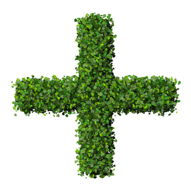 istock Pharmacy cross, Plus with ring, sign made from green leaves. 473850434