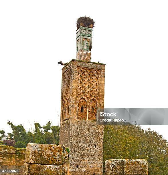 Chellah In Morocco Roman Deteriorated And Site Stock Photo - Download Image Now