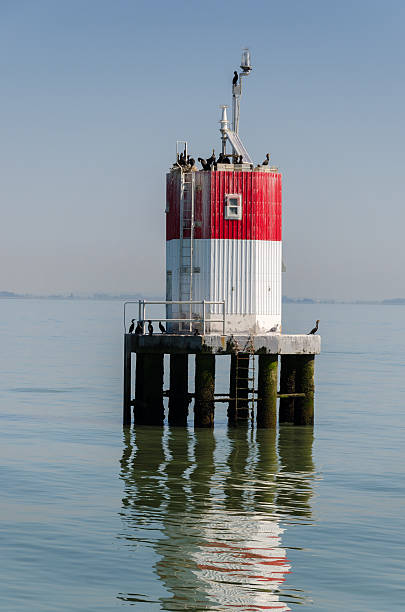 boia no porto de vancouver - segnalazione imagens e fotografias de stock