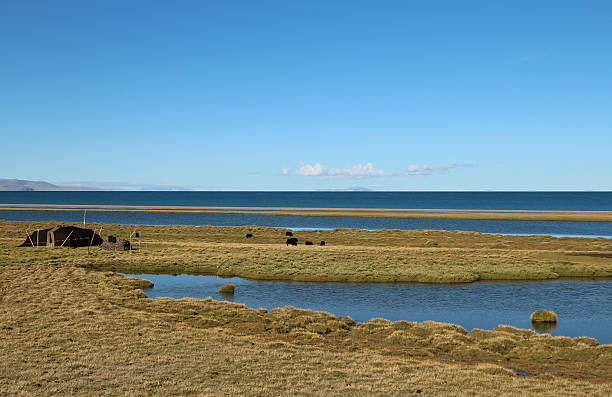 Plateau river and meadow under sunny sky