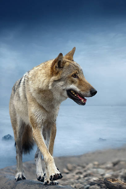 istock On the morning jog. 473880594